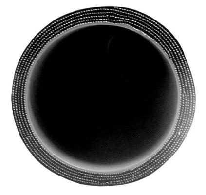 2.25 Inch X 36 Inch L 6MM 5-Ply Silicone Hose PPE Diesel