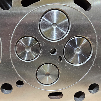 6.0 Workhorse Plus Cylinder Head Reman 20mm Choate Performance