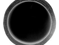 2.25 Inch X 36 Inch L 6MM 5-Ply Silicone Hose PPE Diesel